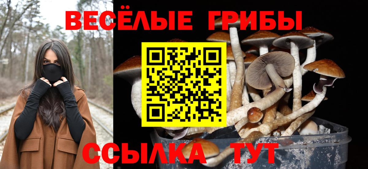 Галлюциногенные грибы Psilocybe  Вход с VPN  Семилуки  Псилоцибиновые грибы Cubensis 